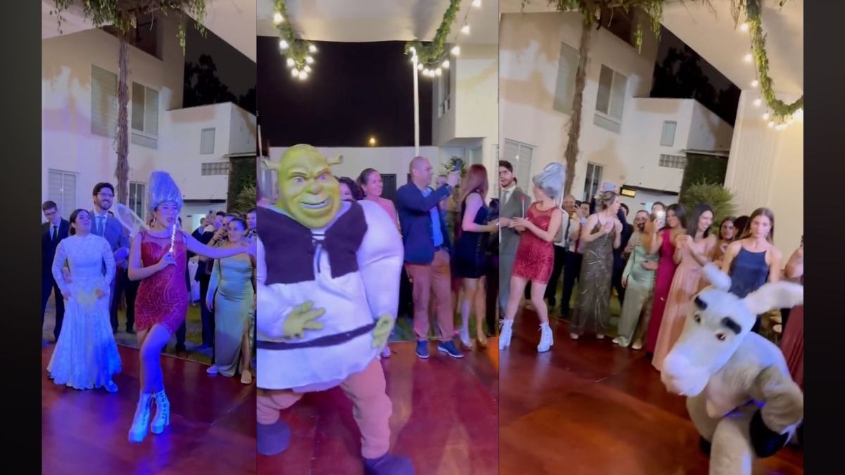 Boda temática de Shrek